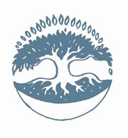 Logo for "ILAN-LAEL INC DBA ILAN-LAEL FOUNDATION"