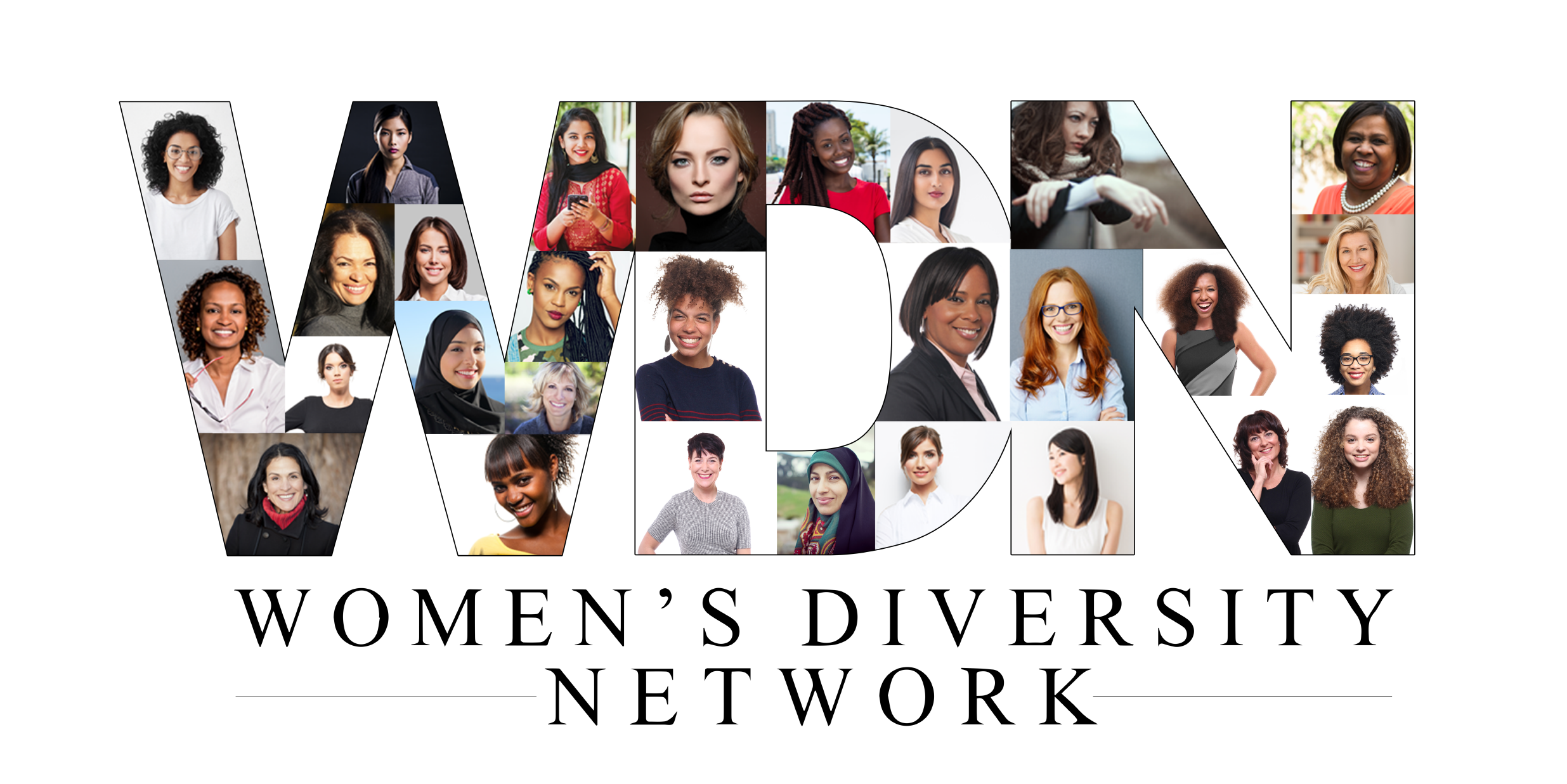 Logo for "Womens Diversity Network INC"