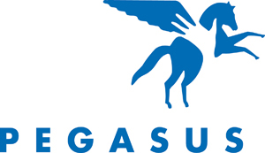 Logo for "PEGASUS THERAPEUTIC RIDING INC"