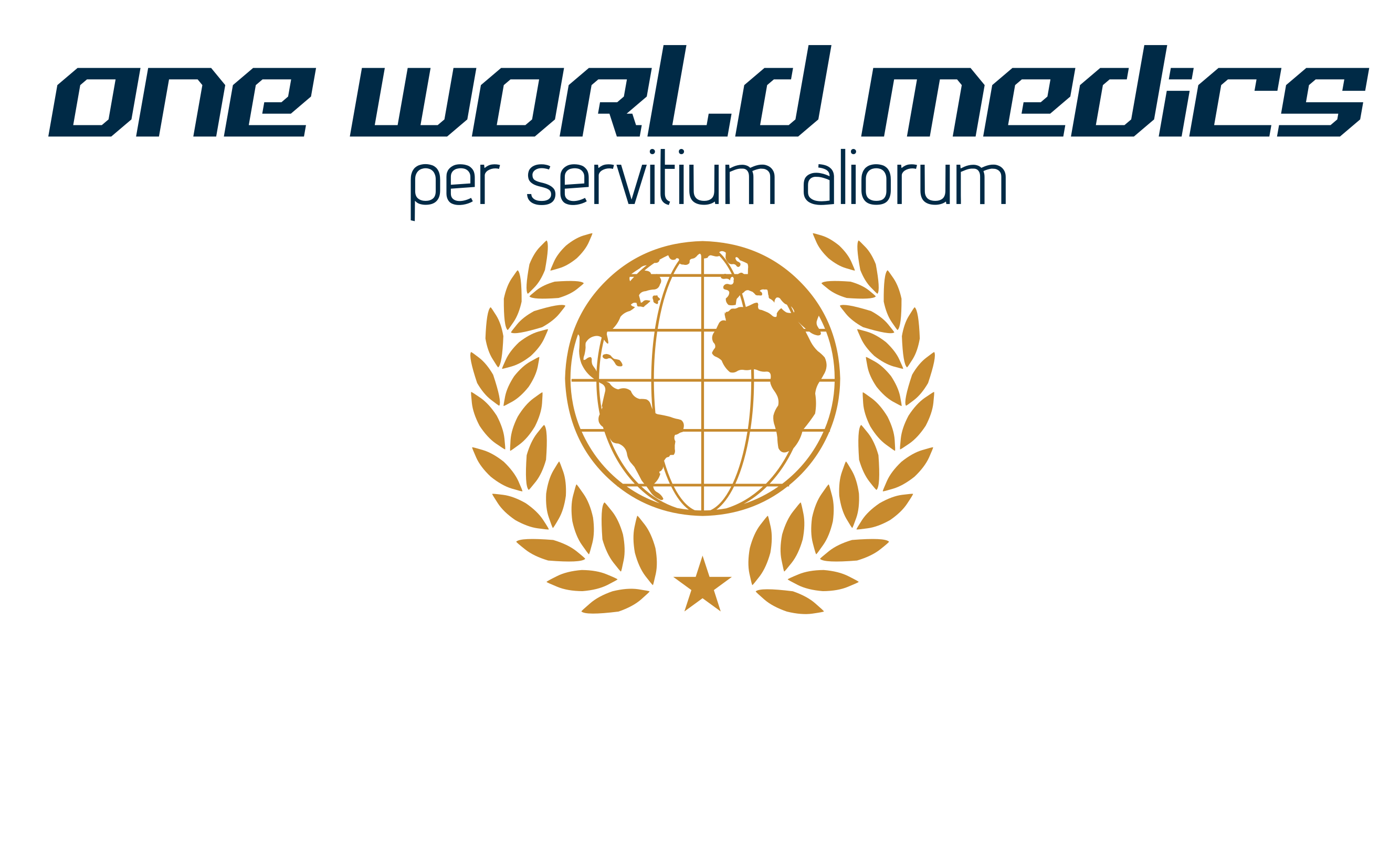 Logo for "ONE WORLD MEDICS"