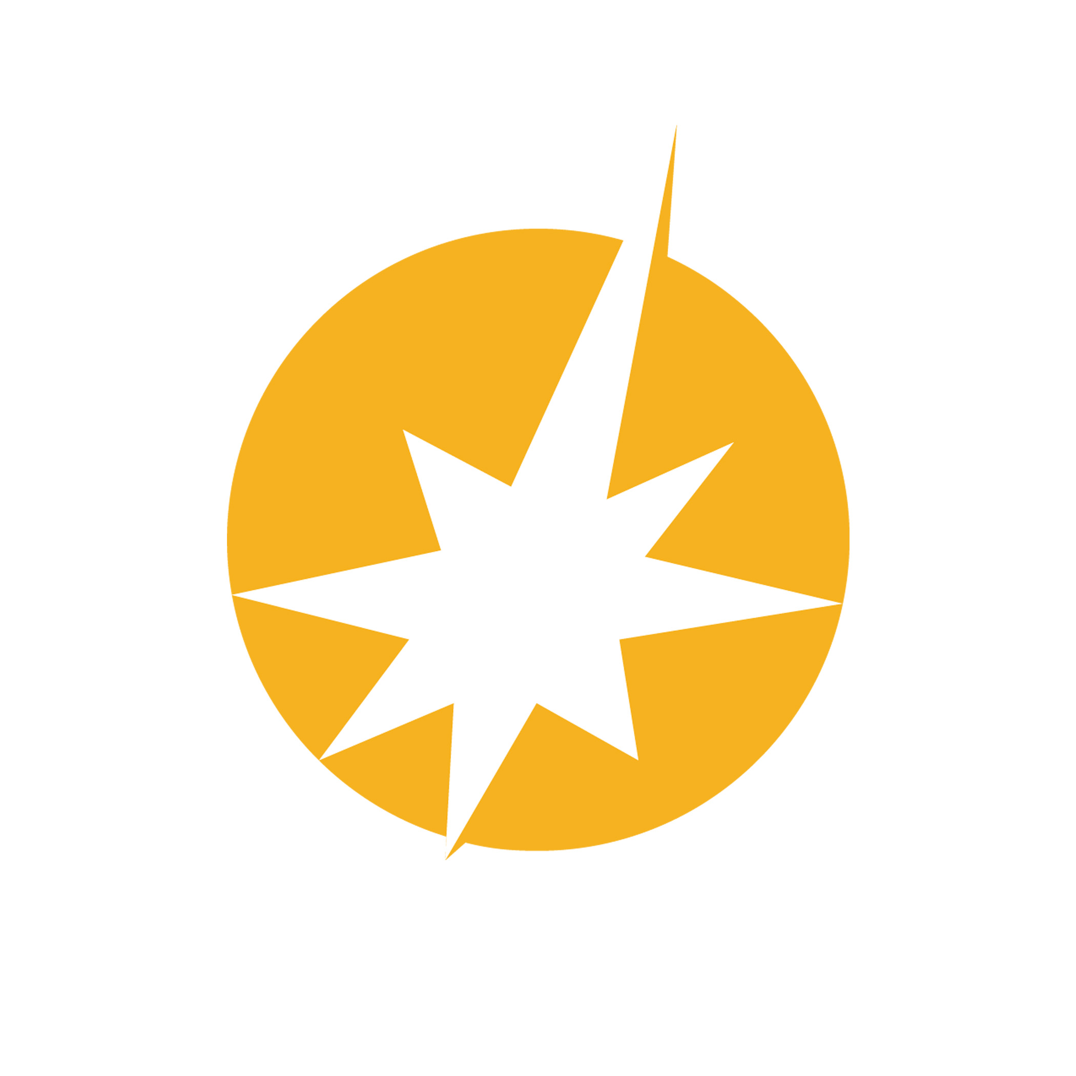 Logo for "PathLight International Inc"