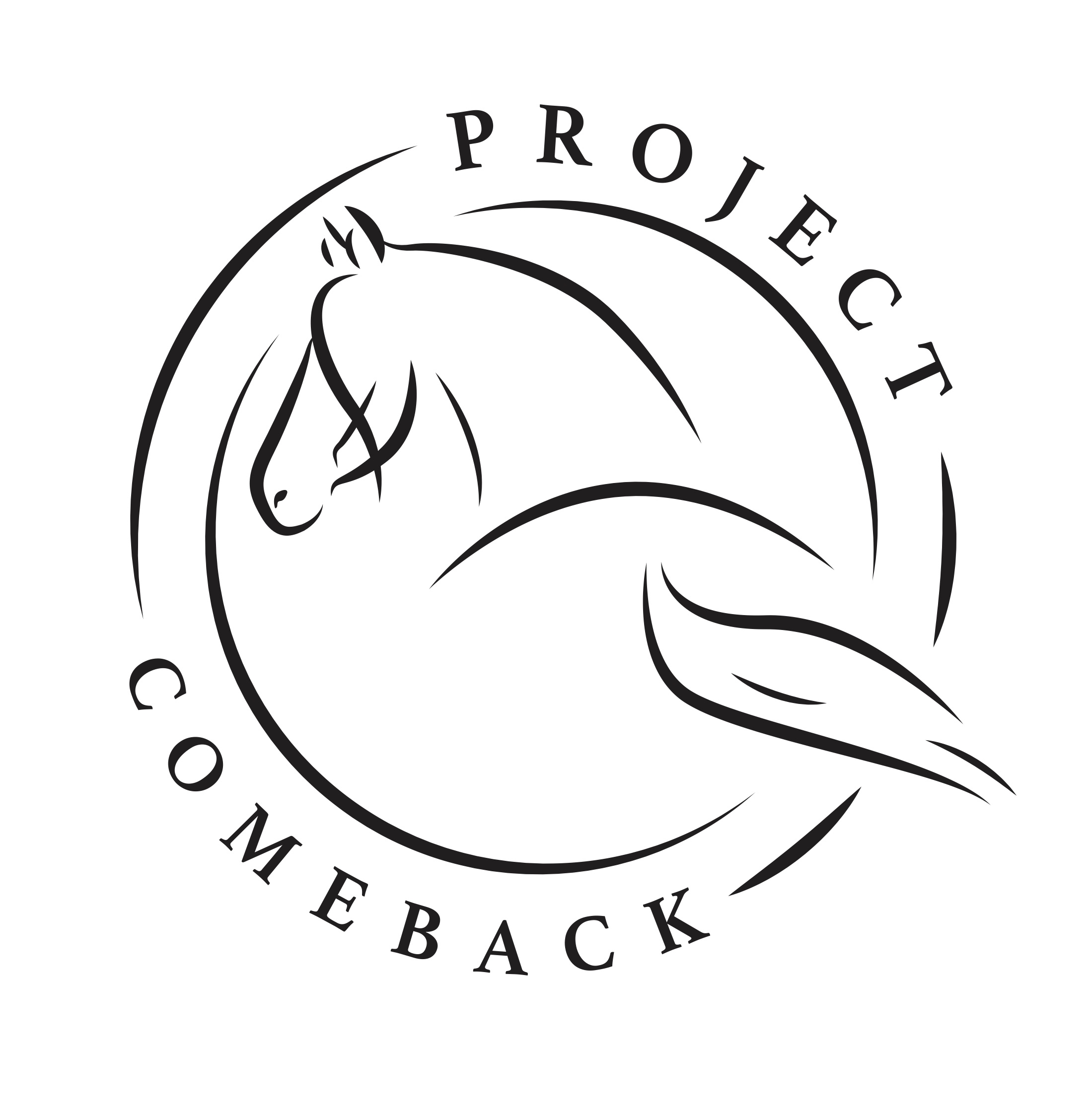 Logo for "PROJECT COMEBACK"
