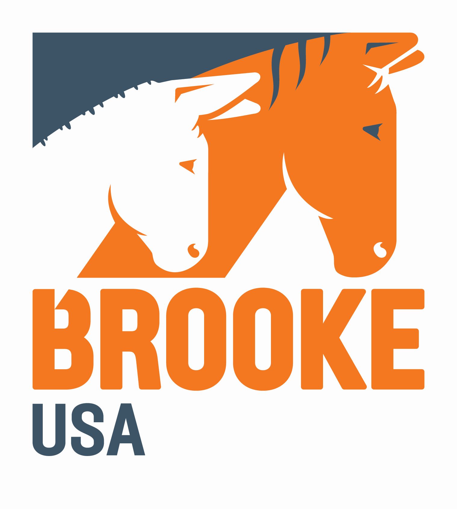 Logo for "BROOKE USA INC"