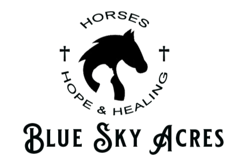 Logo for "BLUE SKY ACRES INC"