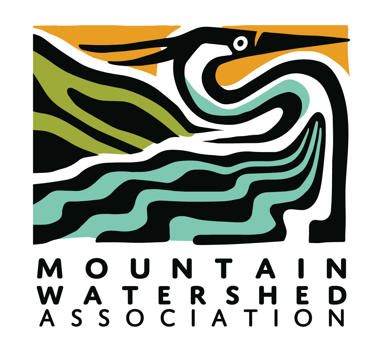 Logo for "MOUNTAIN WATERSHED ASSOCIATION INC"