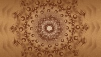 CharityChoice Brown - Disc Card