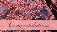 CharityChoice Pink Flowers - Wedding Card