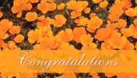 CharityChoice Orange Flowers - Wedding Card
