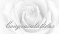 CharityChoice Soft White Rose - Wedding Card
