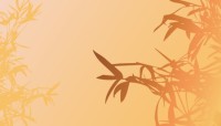 CharityChoice Desert Plant Card