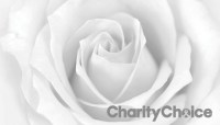 CharityChoice Grey Logo - Soft White Rose Card