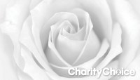 CharityChoice White Logo - Soft White Rose Card