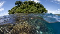 CharityChoice Reef Card
