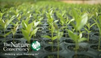 CharityChoice Seedlings - Branded Card