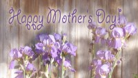 CharityChoice Iris Wall - Mothers Day Card