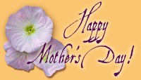 CharityChoice Flower - Mothers Day Card