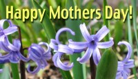CharityChoice Garden - Mothers Day Card
