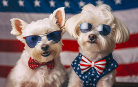 Show your pride for the USA - American flag with patriotic dogs