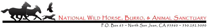 National Wild Horse, Burro and Animal Sanctuary