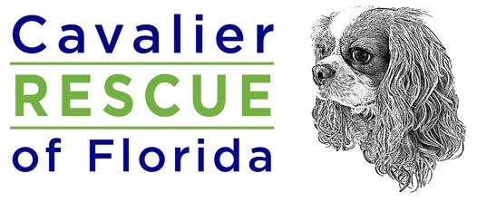 Cavalier Rescue of Florida Inc