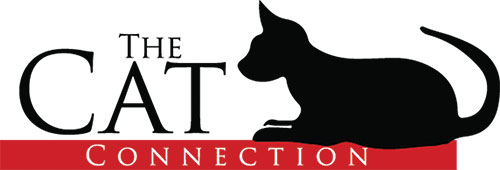 Cat Connection