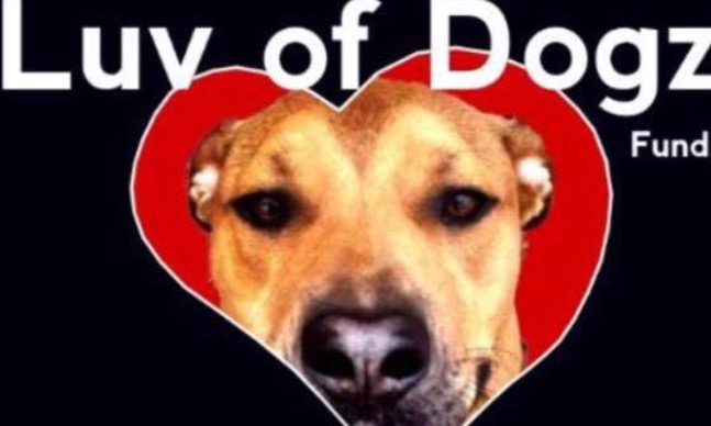 luv of dogz fund