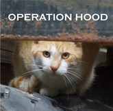 Operation Hood
