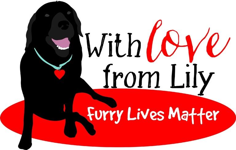 With Love From Lily, Inc.