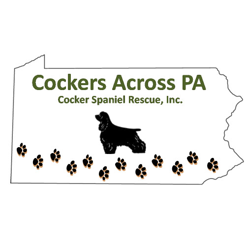 Cockers Across PA Cocker Spaniel Rescue, Inc.