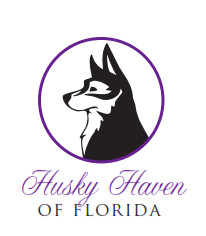 Husky Haven of Florida