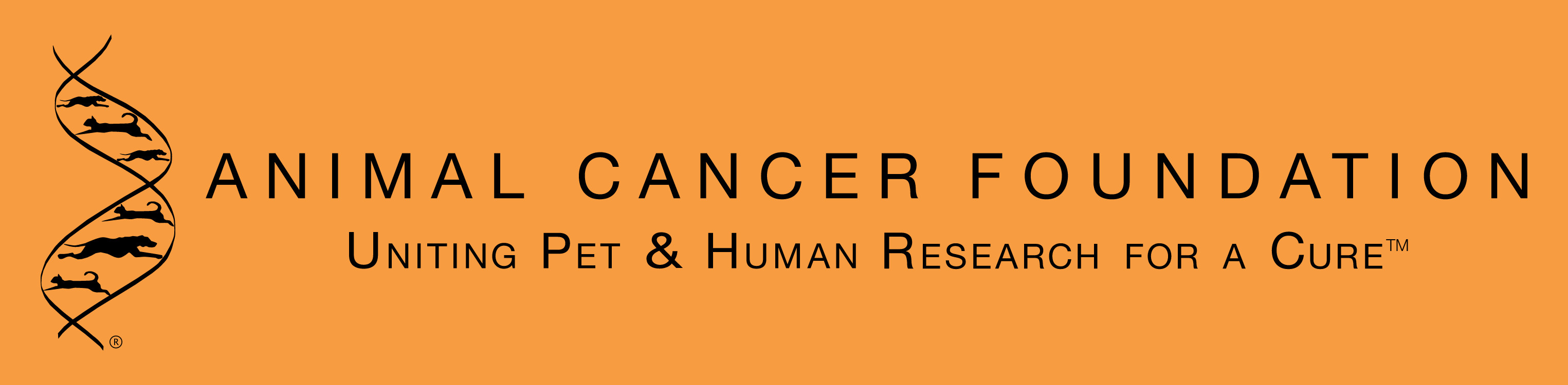 Animal Cancer Foundation (ACF)