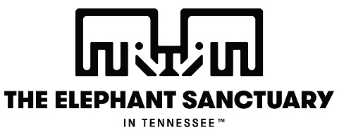 Elephant Sanctuary
