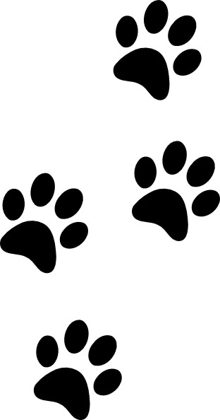 Faulkner County SPCA