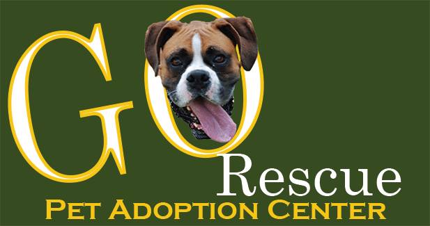 GO Rescue Pet Adoption