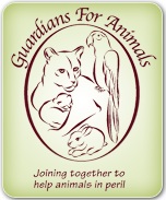 Guardians For Animals