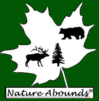 Nature Abounds
