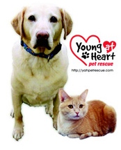 Young at Heart Pet Rescue