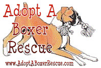 Adopt a Boxer Rescue