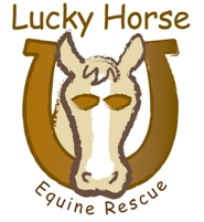 Lucky Horse Equine Rescue