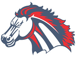 Plano Mustangs dba NTX Mustangs