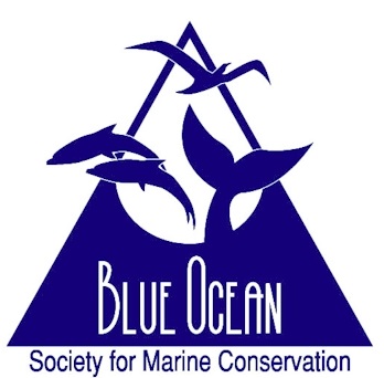 Blue Ocean Society for Marine Conservation