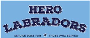 Hero Labradors