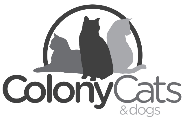 Colony Cats