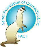Ferret Association of Connecticut