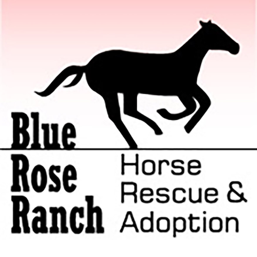 Blue Rose Ranch Horse Rescue