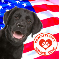 Pawsitivity Service Dogs