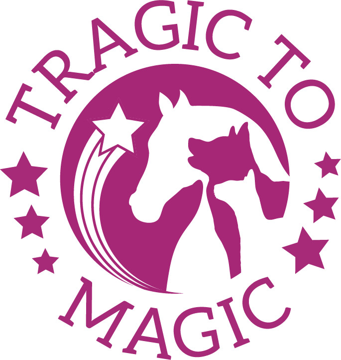 Tragic To Magic