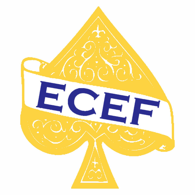 Edenton-Chowan Educational Foundation Inc.