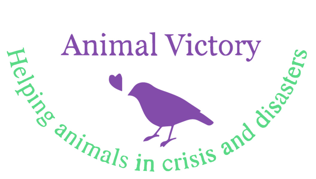 Animal Victory