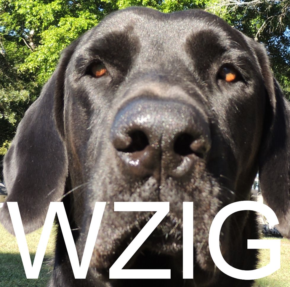 WZIG 104.1 Non Commercial Radio (Palm Harbor Radio inc.)